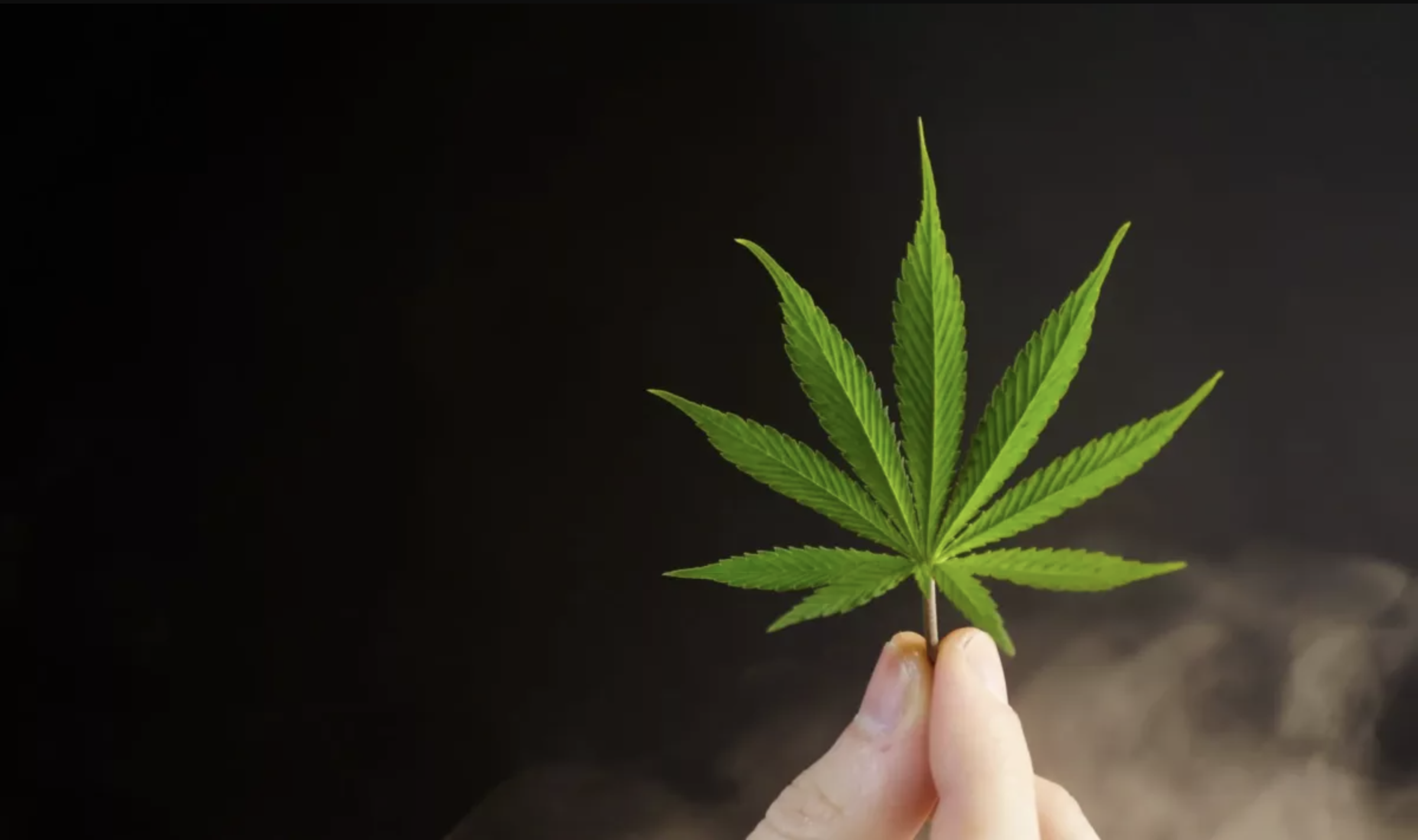 Cannabis-Addiction-in-CA Cannabis and Anxiety: What You Need to Know